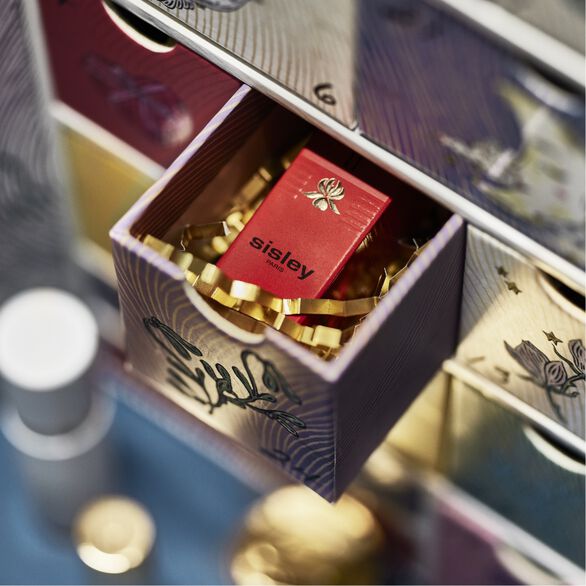 Cases du calendrier de l'Avant Sisley
